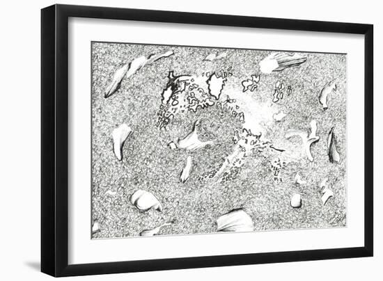 Horse Apparition, 2017-Vincent Alexander Booth-Framed Giclee Print