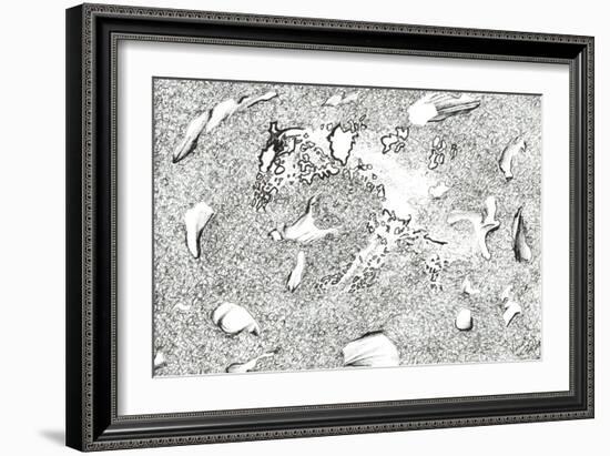 Horse Apparition, 2017-Vincent Alexander Booth-Framed Giclee Print