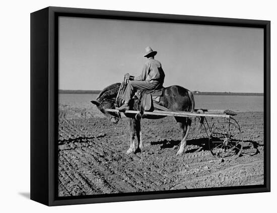 Horse Assisting the Farmer in Plowing the Field-Carl Mydans-Framed Premier Image Canvas