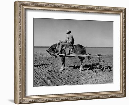 Horse Assisting the Farmer in Plowing the Field-Carl Mydans-Framed Photographic Print