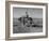 Horse Assisting the Farmer in Plowing the Field-Carl Mydans-Framed Photographic Print