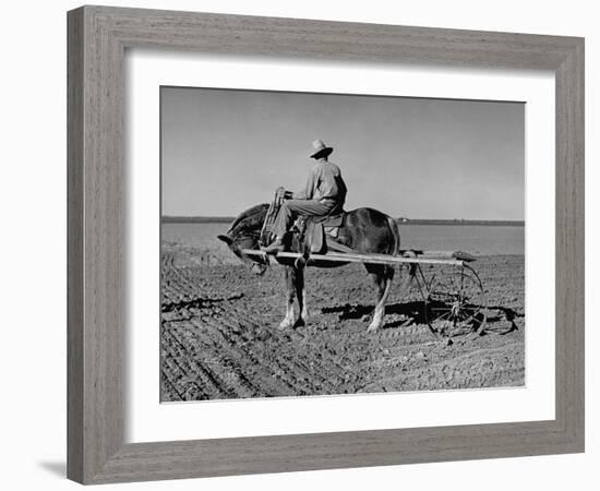 Horse Assisting the Farmer in Plowing the Field-Carl Mydans-Framed Photographic Print