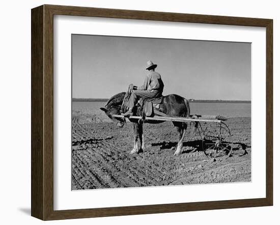 Horse Assisting the Farmer in Plowing the Field-Carl Mydans-Framed Photographic Print