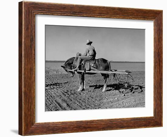 Horse Assisting the Farmer in Plowing the Field-Carl Mydans-Framed Photographic Print