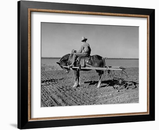 Horse Assisting the Farmer in Plowing the Field-Carl Mydans-Framed Photographic Print