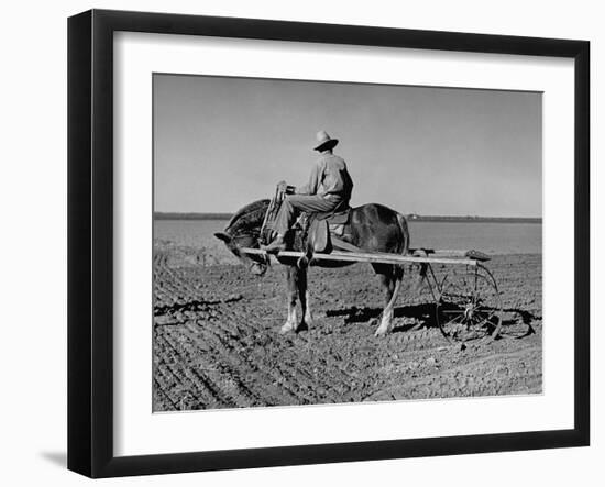 Horse Assisting the Farmer in Plowing the Field-Carl Mydans-Framed Photographic Print