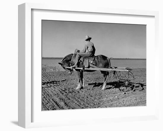 Horse Assisting the Farmer in Plowing the Field-Carl Mydans-Framed Photographic Print