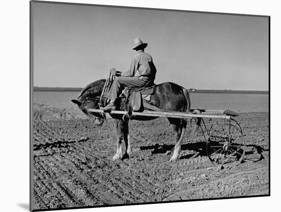 Horse Assisting the Farmer in Plowing the Field-Carl Mydans-Mounted Photographic Print