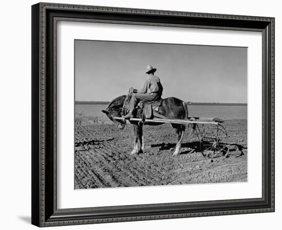 Horse Assisting the Farmer in Plowing the Field-Carl Mydans-Framed Photographic Print