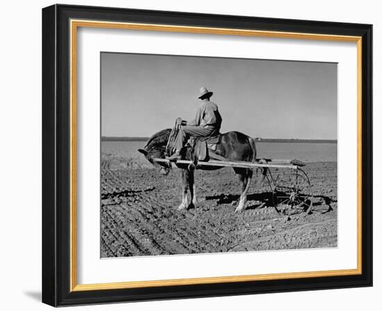 Horse Assisting the Farmer in Plowing the Field-Carl Mydans-Framed Photographic Print