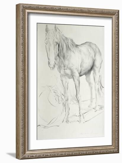 Horse at Coolmore, 1990-Antonio Ciccone-Framed Giclee Print