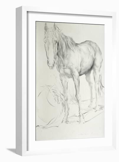 Horse at Coolmore, 1990-Antonio Ciccone-Framed Giclee Print