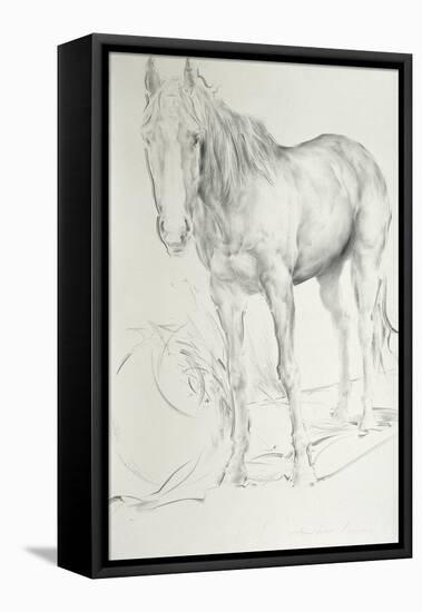 Horse at Coolmore, 1990-Antonio Ciccone-Framed Premier Image Canvas