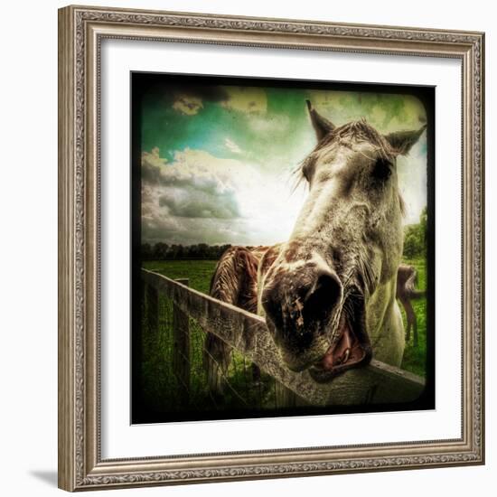 Horse Baring Teeth-Stephen Arens-Framed Photographic Print