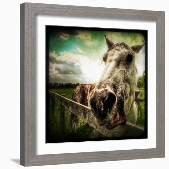 Horse Baring Teeth-Stephen Arens-Framed Photographic Print