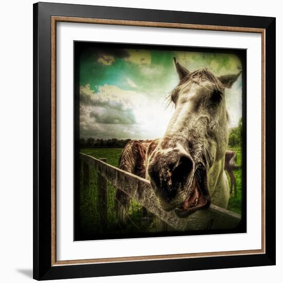 Horse Baring Teeth-Stephen Arens-Framed Photographic Print