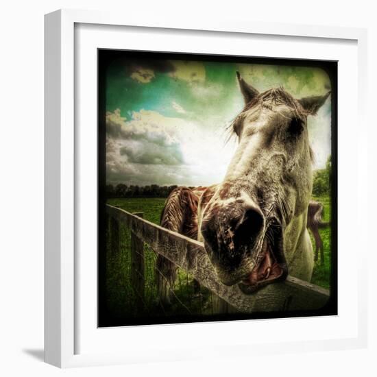 Horse Baring Teeth-Stephen Arens-Framed Photographic Print