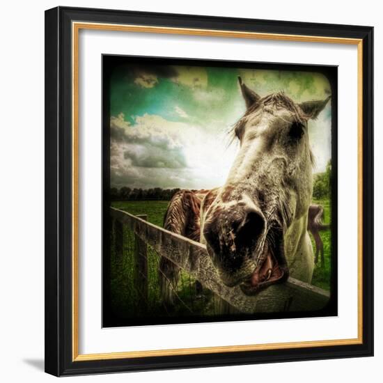 Horse Baring Teeth-Stephen Arens-Framed Photographic Print