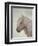 Horse Beige with Ribbons-Fab Funky-Framed Art Print