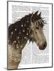 Horse Buckskin with Jewelled Bridle-Fab Funky-Mounted Art Print