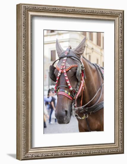 Horse Carriage. Rome. Italy.-Tom Norring-Framed Photographic Print