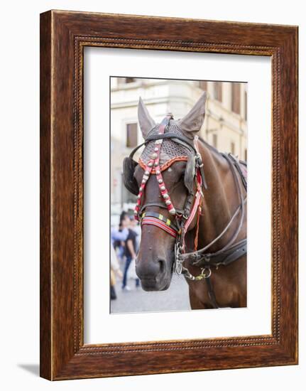 Horse Carriage. Rome. Italy.-Tom Norring-Framed Photographic Print