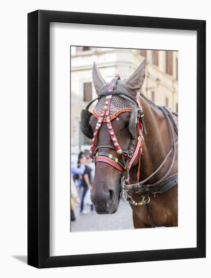 Horse Carriage. Rome. Italy.-Tom Norring-Framed Photographic Print