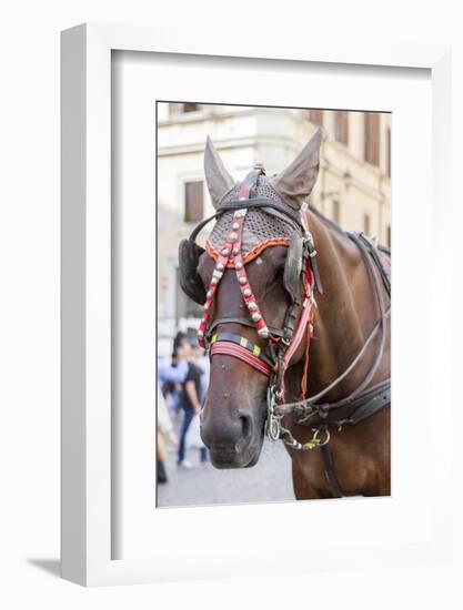 Horse Carriage. Rome. Italy.-Tom Norring-Framed Photographic Print