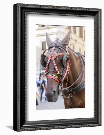 Horse Carriage. Rome. Italy.-Tom Norring-Framed Photographic Print