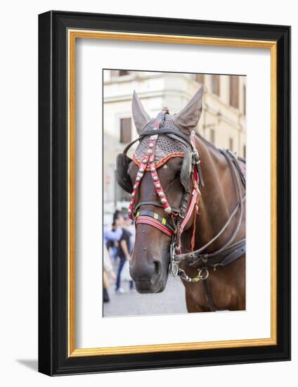 Horse Carriage. Rome. Italy.-Tom Norring-Framed Photographic Print