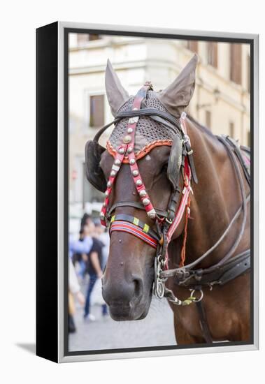 Horse Carriage. Rome. Italy.-Tom Norring-Framed Premier Image Canvas