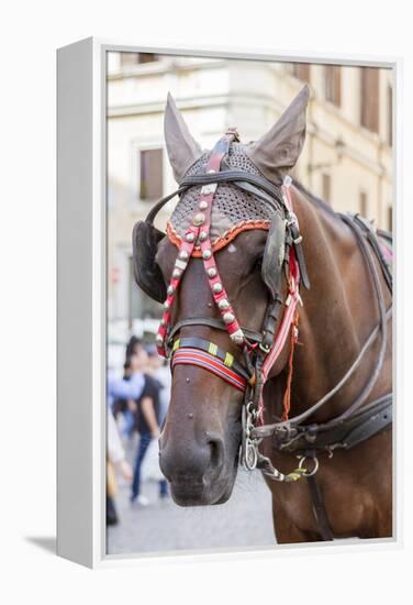 Horse Carriage. Rome. Italy.-Tom Norring-Framed Premier Image Canvas