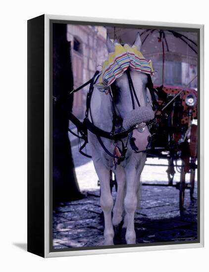 Horse Carriage, Sorrento, Italy-Dave Bartruff-Framed Premier Image Canvas