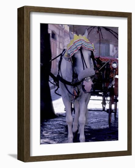 Horse Carriage, Sorrento, Italy-Dave Bartruff-Framed Photographic Print