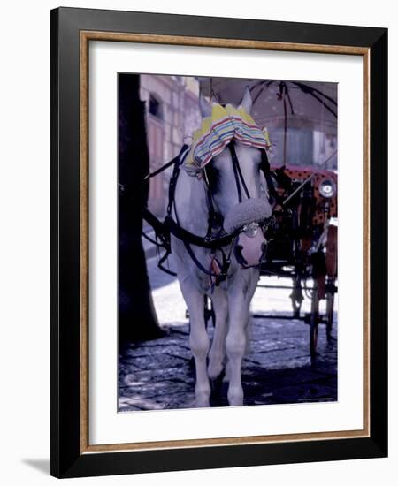 Horse Carriage, Sorrento, Italy-Dave Bartruff-Framed Photographic Print