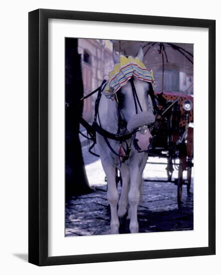 Horse Carriage, Sorrento, Italy-Dave Bartruff-Framed Photographic Print