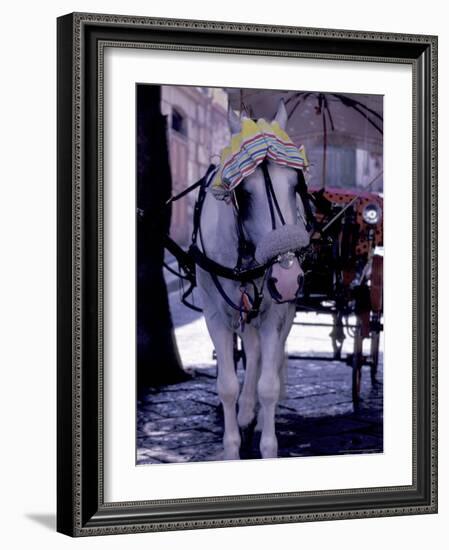 Horse Carriage, Sorrento, Italy-Dave Bartruff-Framed Photographic Print