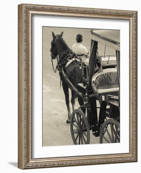 Horse Carriages at Pinto Wharf, Floriana, Valletta, Malta-Walter Bibikow-Framed Photographic Print