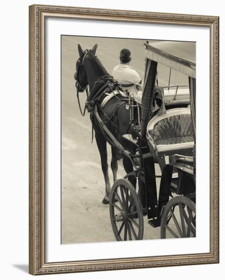 Horse Carriages at Pinto Wharf, Floriana, Valletta, Malta-Walter Bibikow-Framed Photographic Print