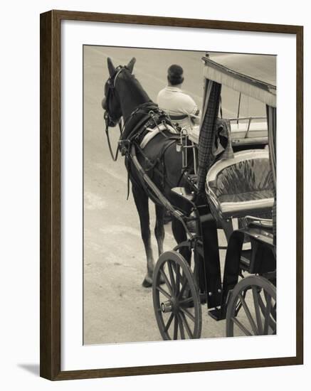 Horse Carriages at Pinto Wharf, Floriana, Valletta, Malta-Walter Bibikow-Framed Photographic Print