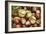 Horse Chestnut Conkers-null-Framed Photographic Print