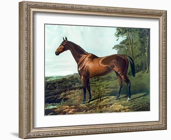 Horse Chromolithograph "Fair Nell," 1800s-Piddix-Framed Art Print