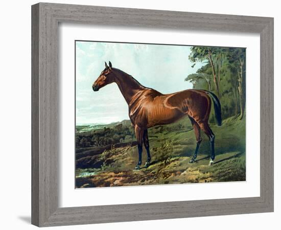 Horse Chromolithograph "Fair Nell," 1800s-Piddix-Framed Art Print