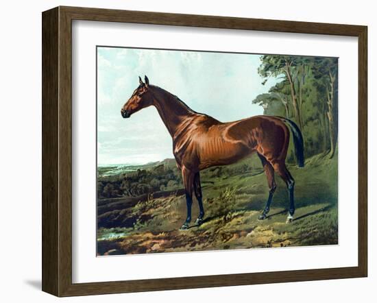 Horse Chromolithograph "Fair Nell," 1800s-Piddix-Framed Art Print