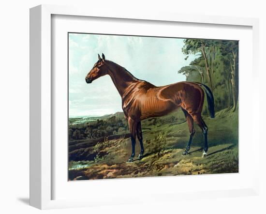 Horse Chromolithograph "Fair Nell," 1800s-Piddix-Framed Art Print