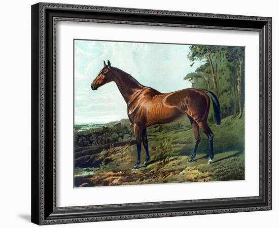 Horse Chromolithograph "Fair Nell," 1800s-Piddix-Framed Art Print