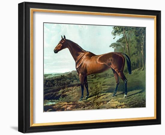 Horse Chromolithograph "Fair Nell," 1800s-Piddix-Framed Art Print