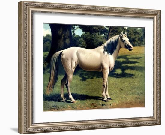 Horse Chromolithograph "The Arab Pony Charger," 1867-Piddix-Framed Art Print