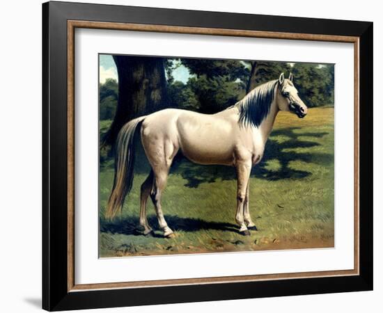 Horse Chromolithograph "The Arab Pony Charger," 1867-Piddix-Framed Art Print