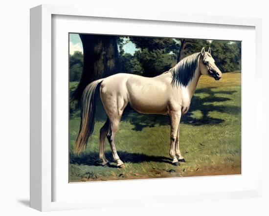 Horse Chromolithograph "The Arab Pony Charger," 1867-Piddix-Framed Art Print